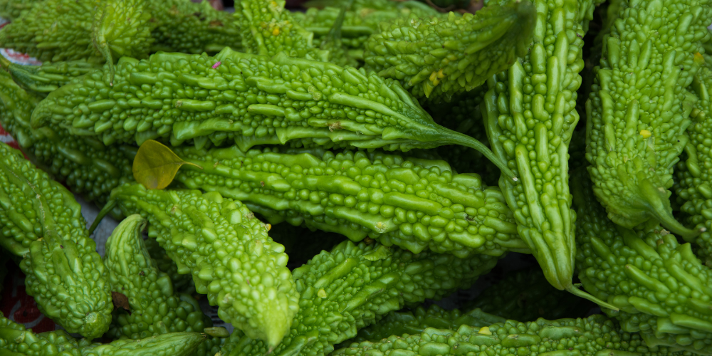 Bitter gourd 3