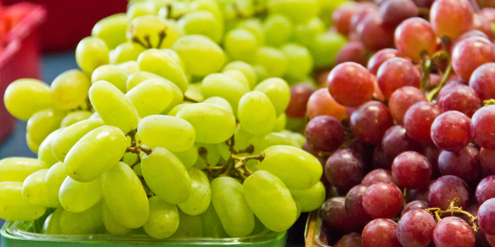Grapes 2