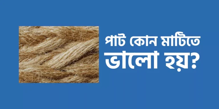 পাট কোন মাটিতে ভালো হয়?
