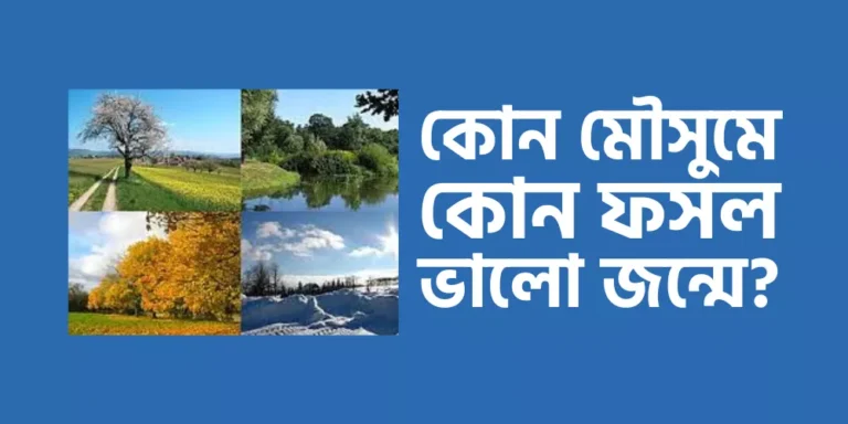 কোন মৌসুমে কোন ফসল ভালো জন্মে?