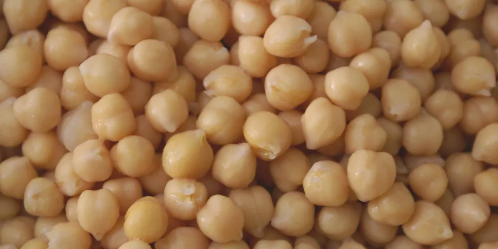 Boiled chickpeas 4