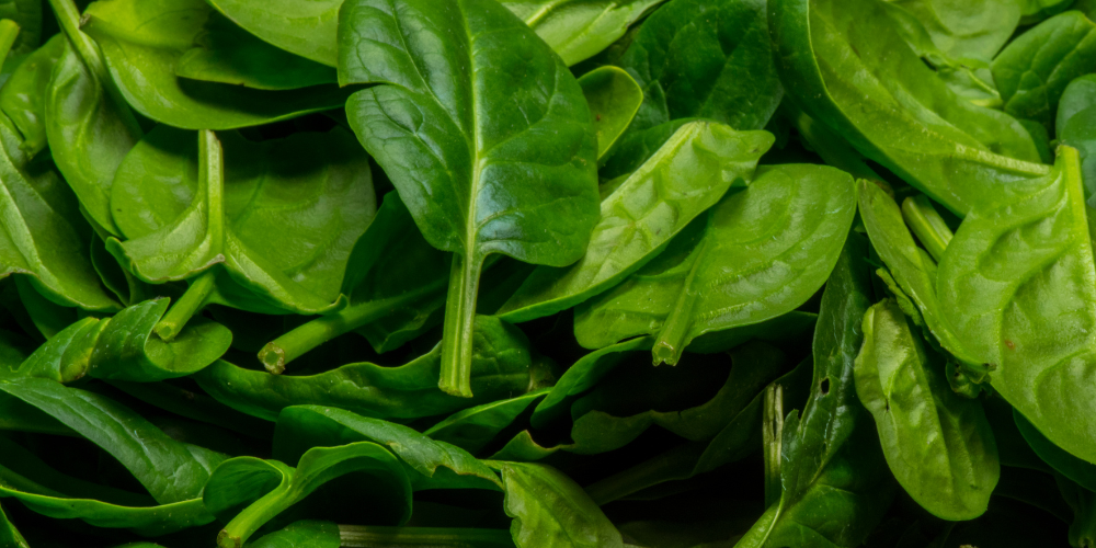 Spinach 2